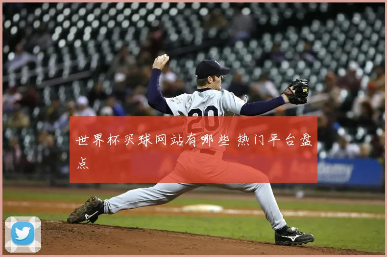 世界杯买球网站有哪些 热门平台盘点