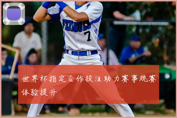 世界杯指定合作投注助力赛事观赛体验提升