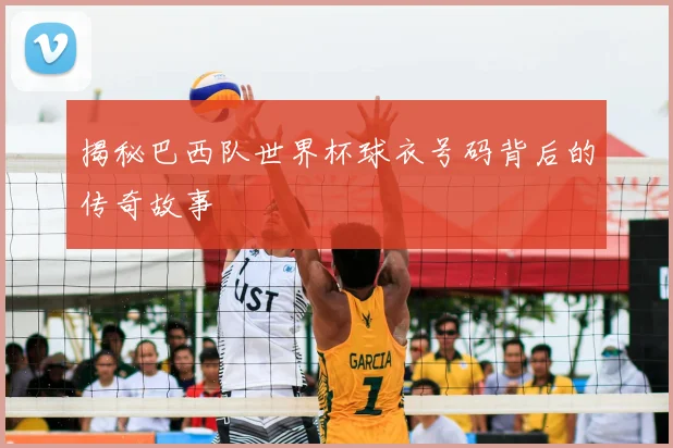 揭秘巴西队世界杯球衣号码背后的传奇故事