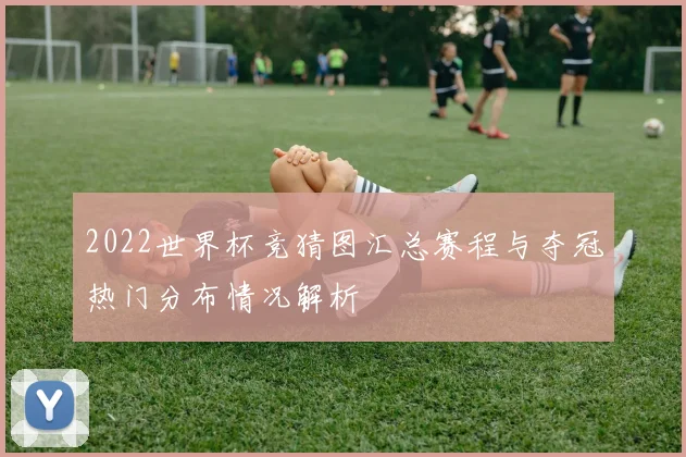 2022世界杯竞猜图汇总赛程与夺冠热门分布情况解析