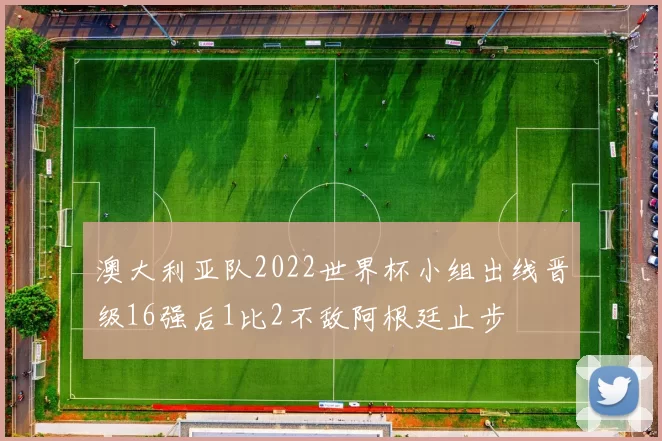澳大利亚队2022世界杯小组出线晋级16强后1比2不敌阿根廷止步