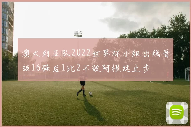澳大利亚队2022世界杯小组出线晋级16强后1比2不敌阿根廷止步