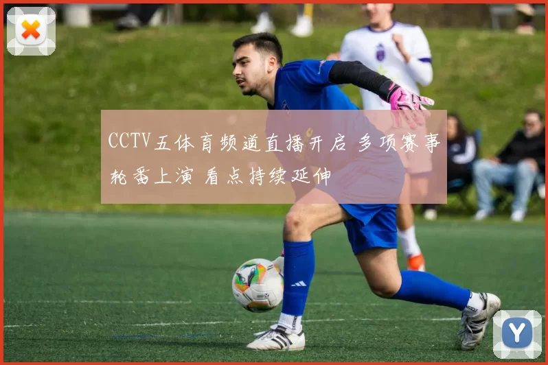 CCTV五体育频道直播开启 多项赛事轮番上演 看点持续延伸