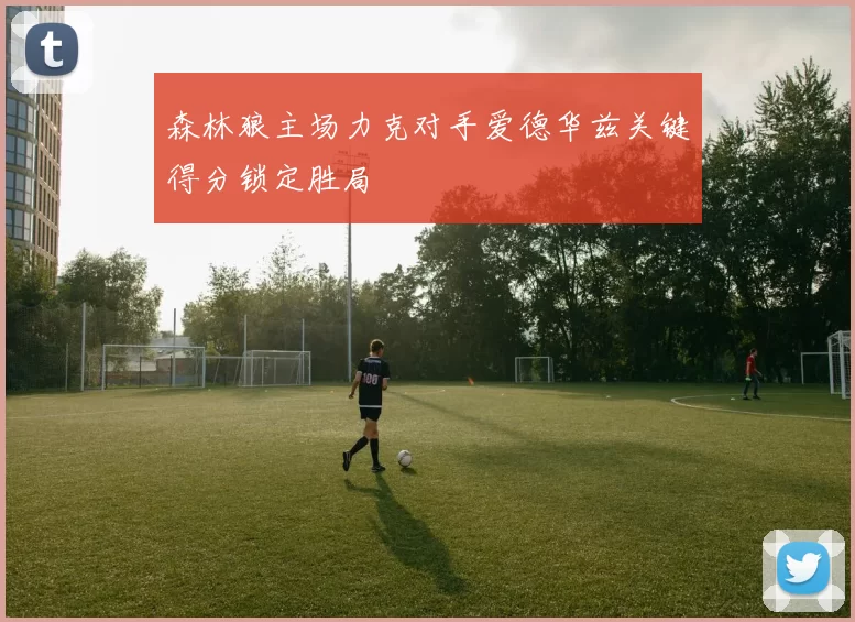 森林狼主场力克对手爱德华兹关键得分锁定胜局