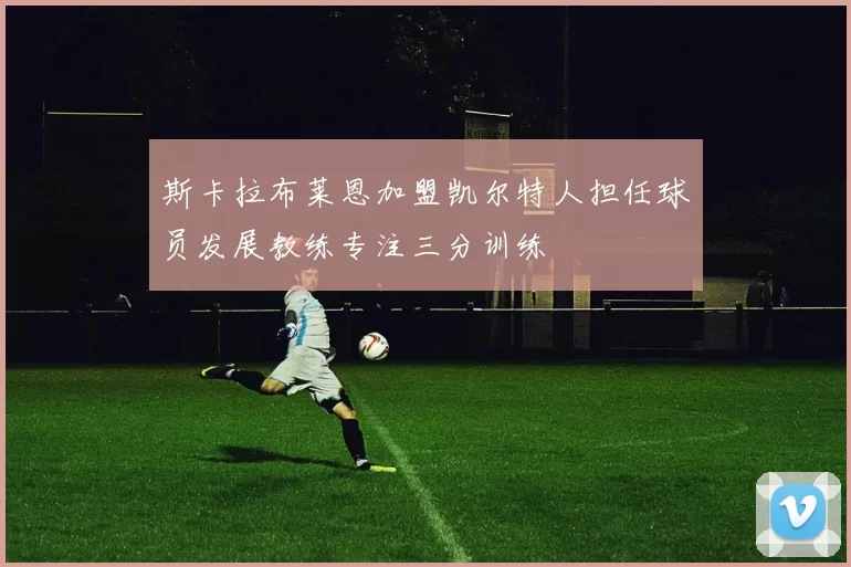 斯卡拉布莱恩加盟凯尔特人担任球员发展教练专注三分训练