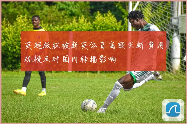 英超版权被新英体育高额买断 费用规模及对国内转播影响